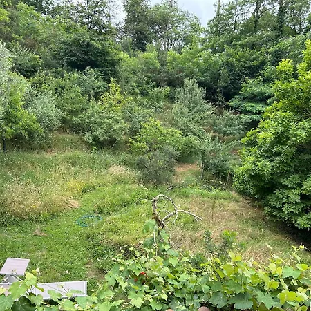 Casa Octavia San Martino in Freddana