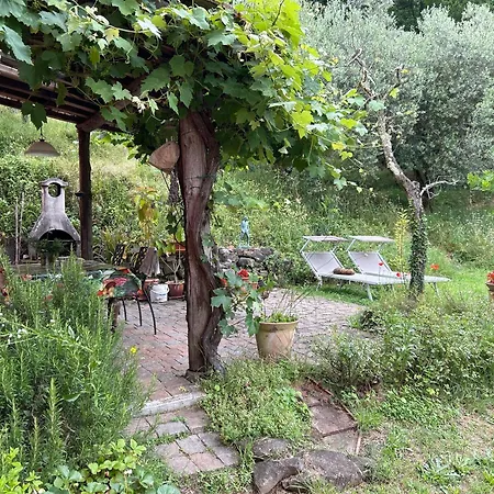 Casa Octavia Bed & Breakfast San Martino in Freddana